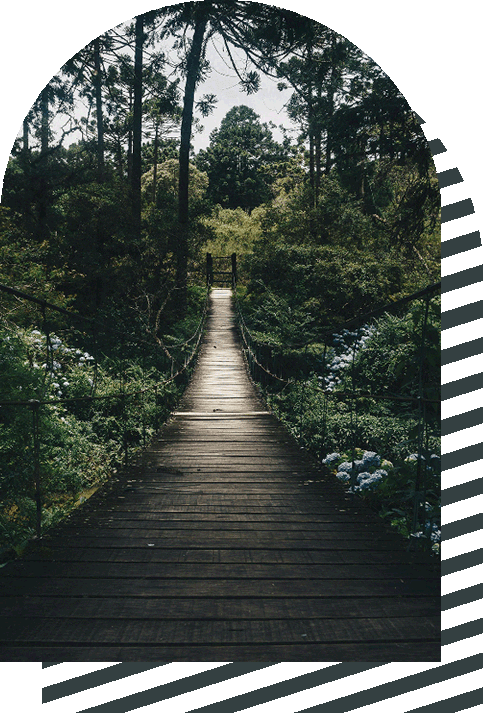 pexels-hikaique-775201d